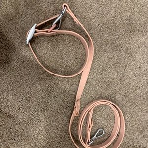 Nordstrom dog leash and collar